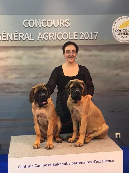 Du Mont Des Géants - Les Magichiens au Salon Internationale de l'Agriculture