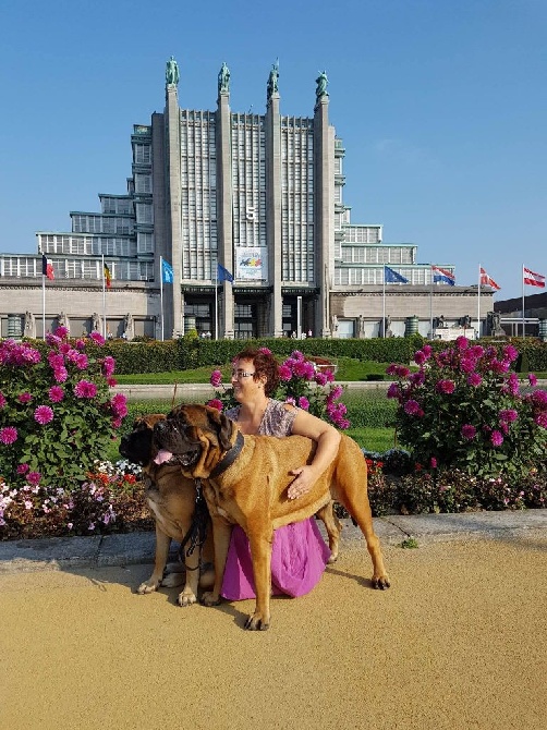 Du Mont Des Géants - Championnat d'Europe à Bruxelles