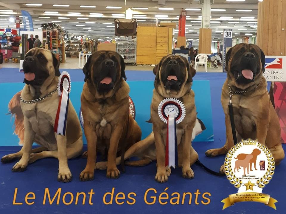 Du Mont Des Géants - Championnat de France 2018 au Bourget