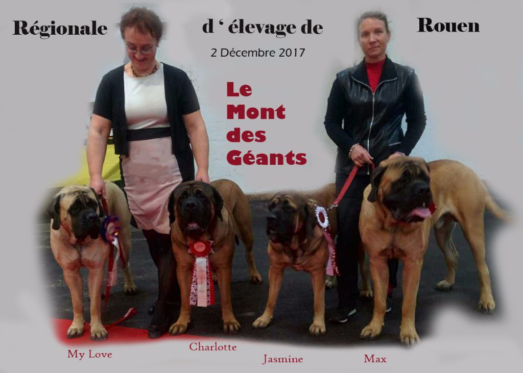 Du Mont Des Géants - Excellents resultats à la régionale d'élevage de Rouen !