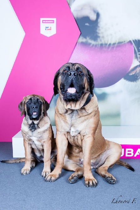 Du Mont Des Géants - Charlotte et Jasmine font les stars sur le stand Eukanuba