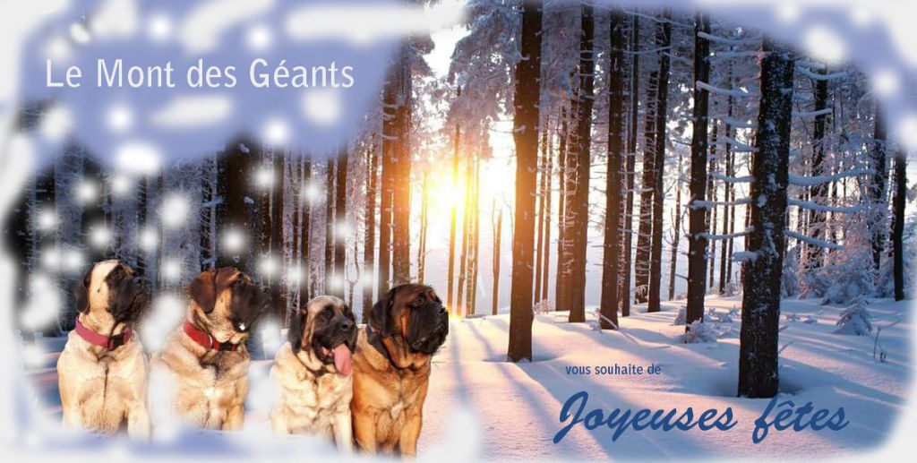 Du Mont Des Géants - Le Mont des Geants vous souhaite de Joyeuses Fêtes!