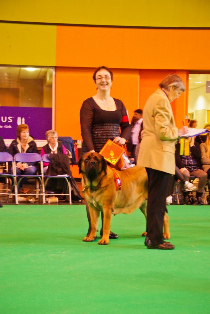 Du Mont Des Géants - Crufts 2017