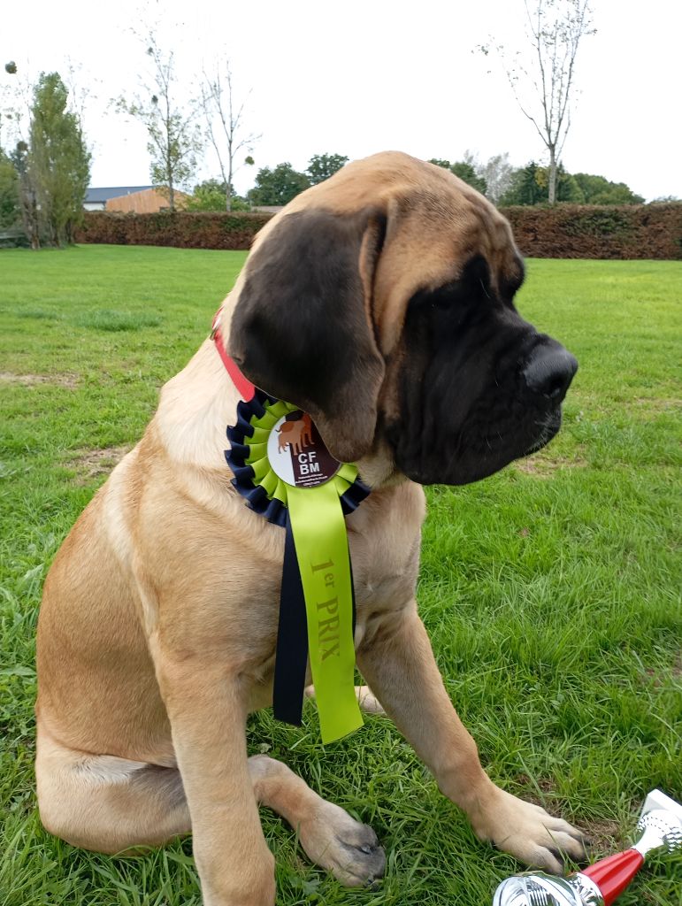 LOVE meilleure puppy de la Nationale d'élevage 