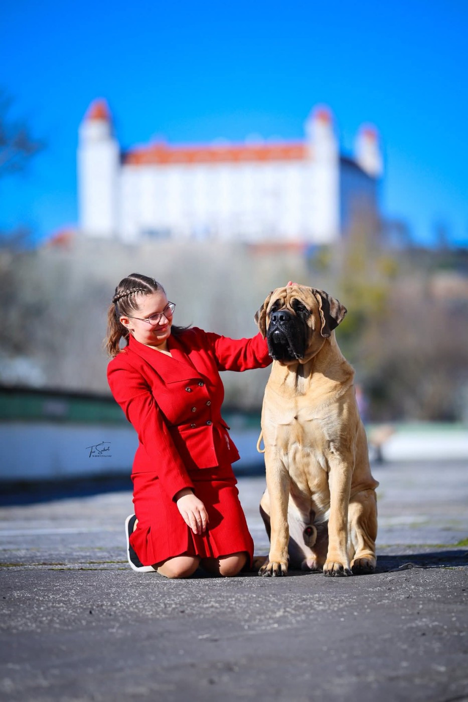 ASGARD du Mont des Géants, jeune Champion de Slovaquie.