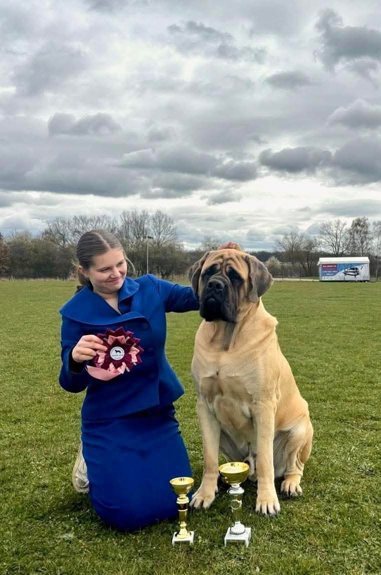 ASGARD Obtient Meilleur de race et 3 Best in Show junior