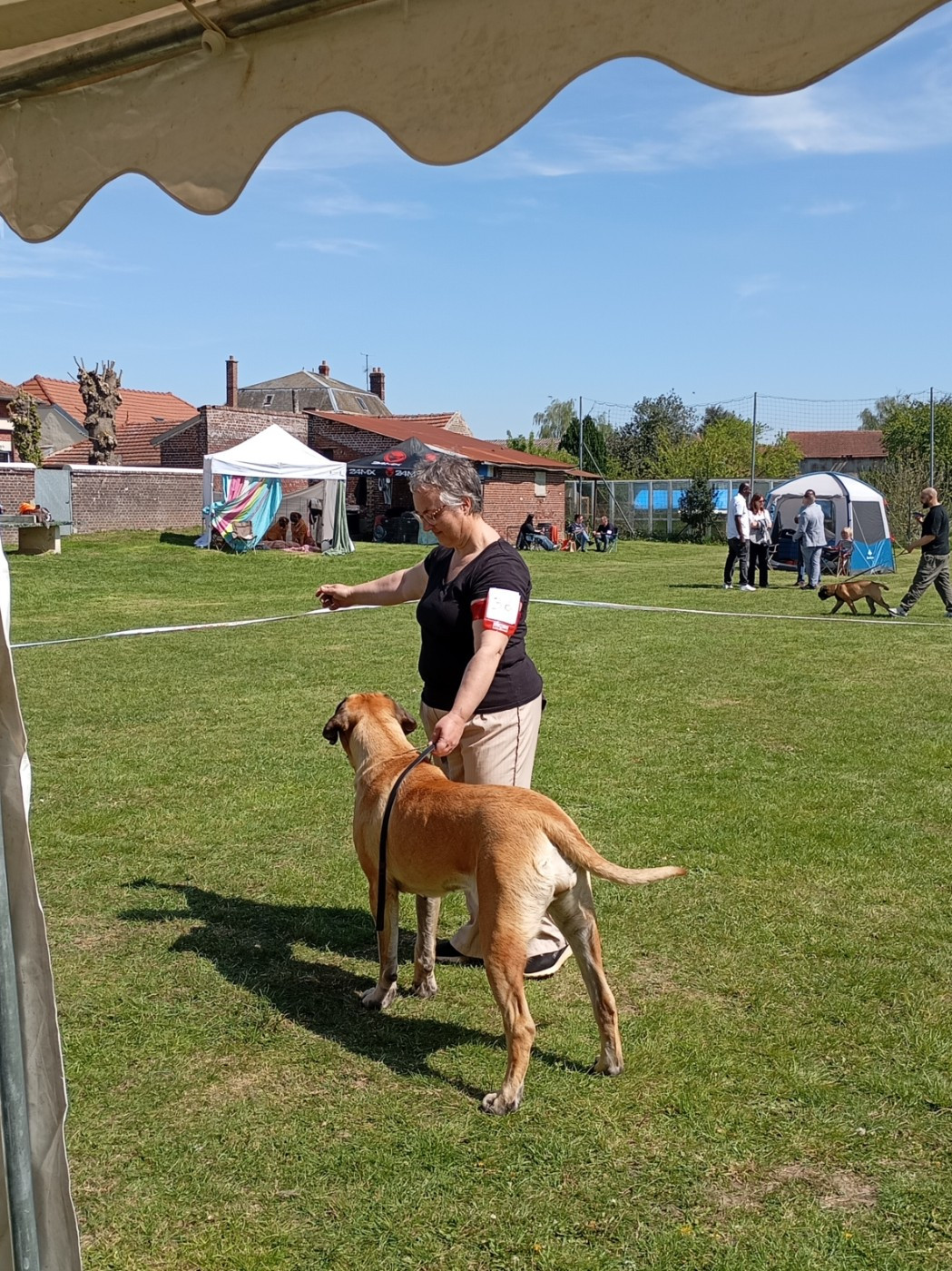 Du Mont Des Géants - Moon et Love à la Régionale d'élevage d'Amy