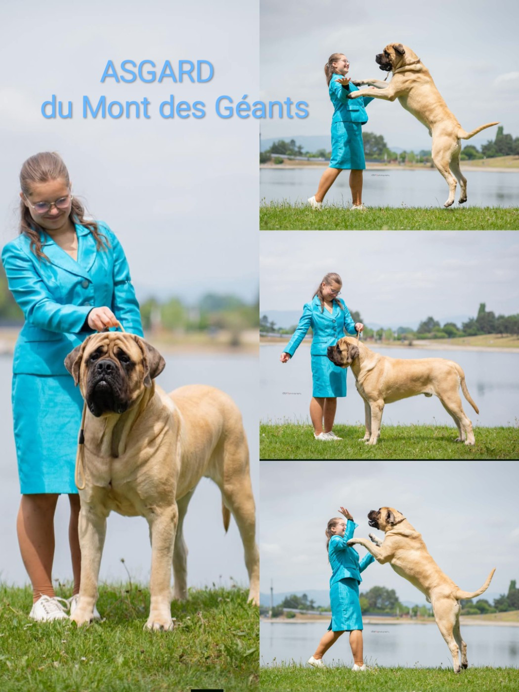 ASGARD gagne aussi en Autriche !